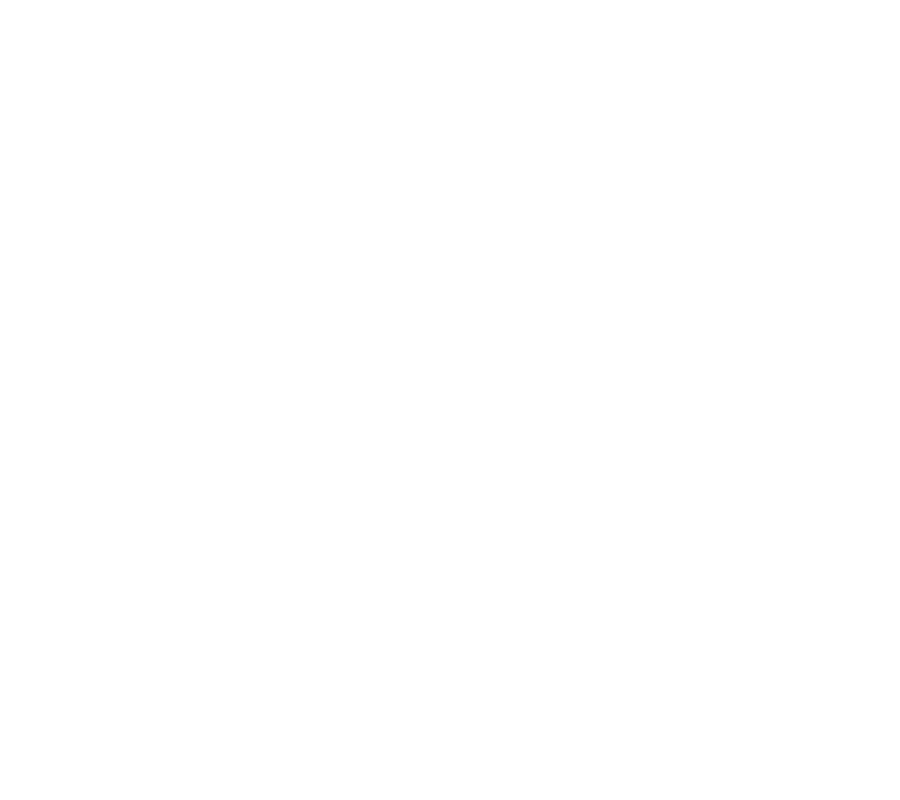 silver1